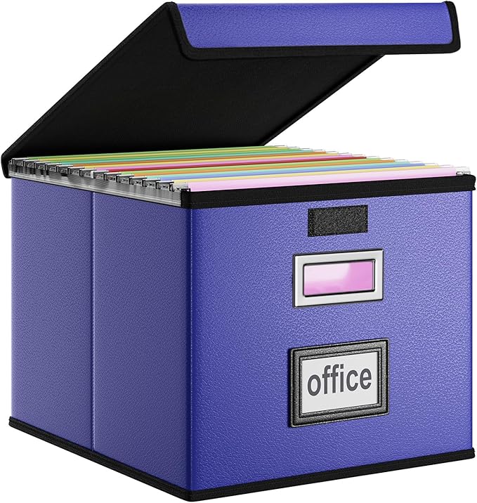 Huolewa File Organizer Box by Huolewa