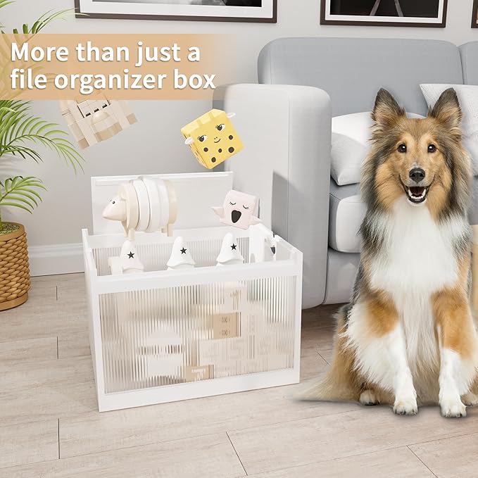 White Bamboo Acrylic File Box - Image 6