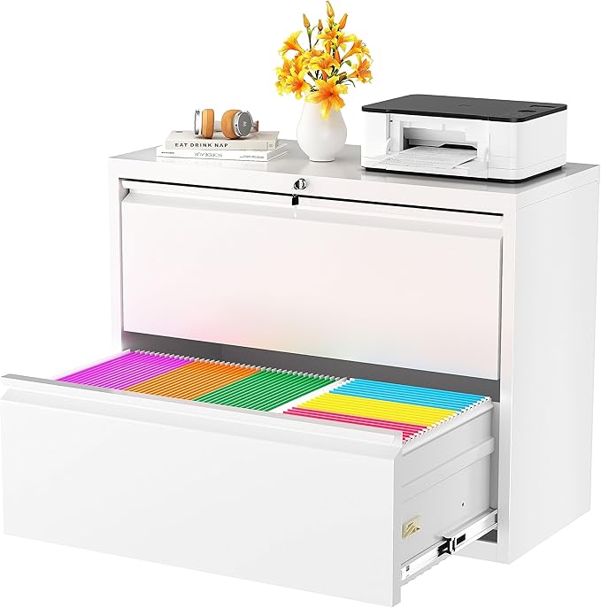 Superday Metal Lateral File Cabinet, 2 Drawer File Cabinet, Filing Cabinets by SuperdayMetalFurniture