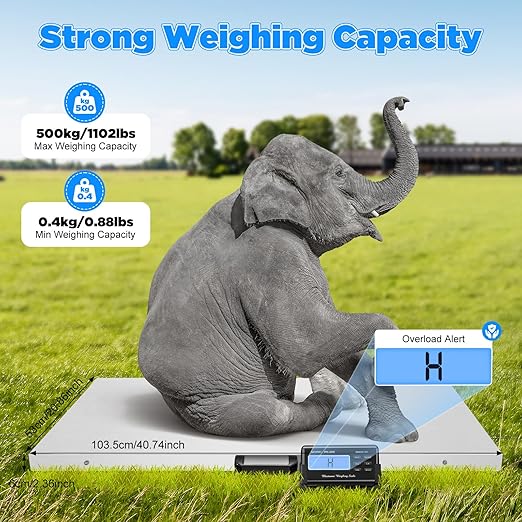 Animal Digital Scale, 500KG/1100Lbs Electronic Stainless Steel Veterinary Scale - Image 3