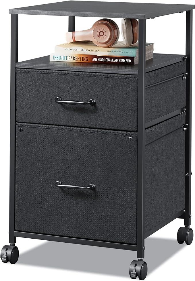 DEVAISE Mobile File Cabinet, Rolling Printer Stand by DEVAISE