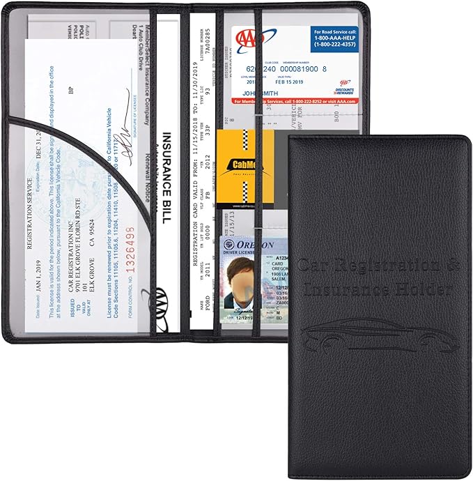 Cacturism Car Registration and Insurance Holder by CACTURISM
