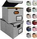 BALEINE File Organizer Box by BALEINE