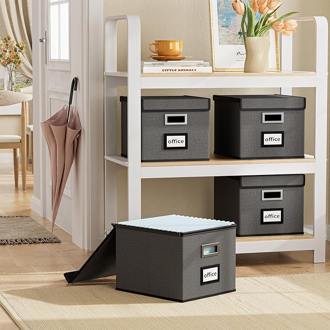 Huolewa File Organizer Boxes - Image 2