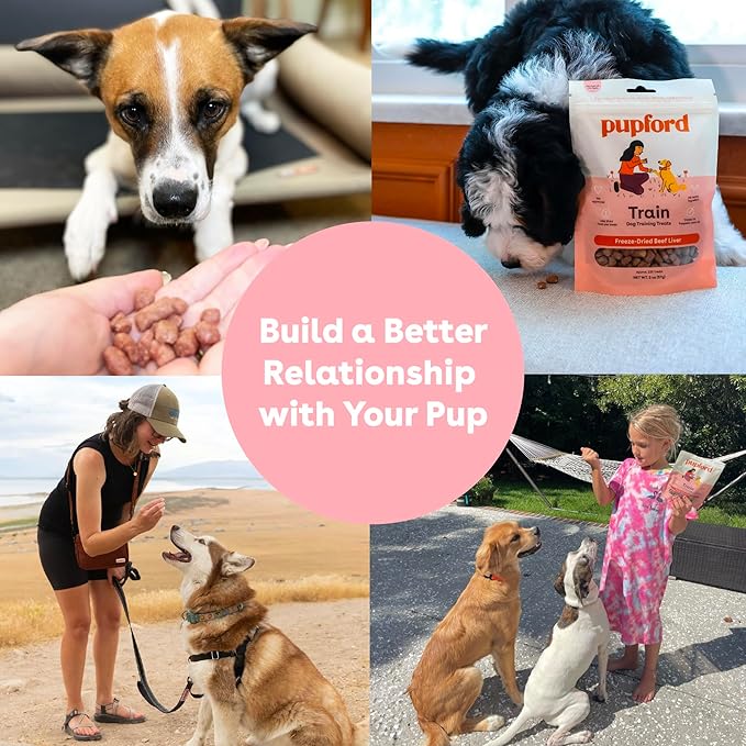 Pupford Freeze Dried Training Treats - Image 6