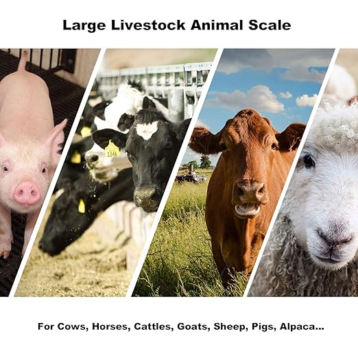 Large Farm Animal Scale/Digital Livestock Weighing Equipment, Capacity 4000 x 1 - Image 2