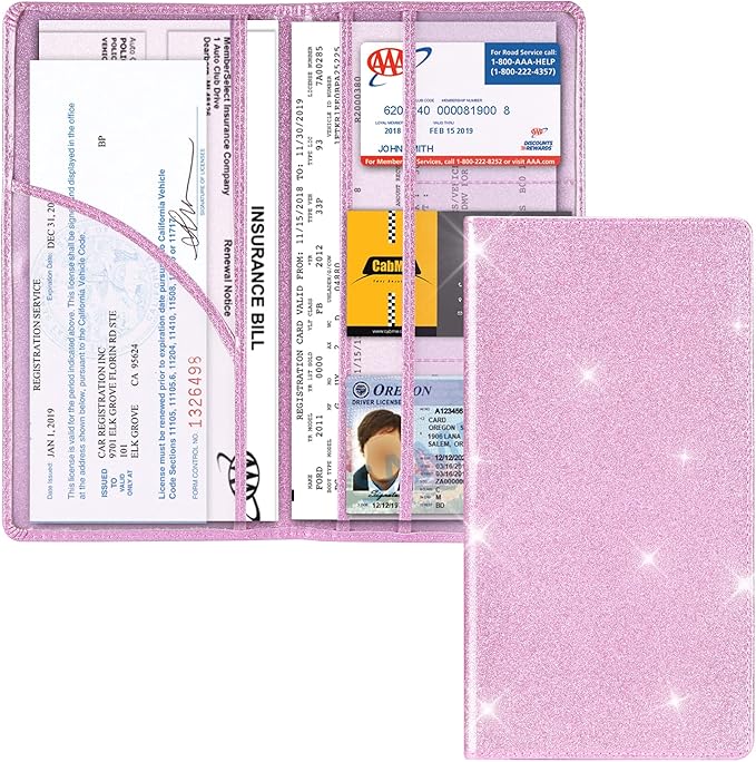 Cacturism Car Registration and Insurance Holder, Car Accessories Vehicle Glove by CACTURISM