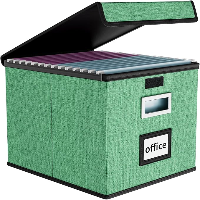 Huolewa File Organizer Box by Huolewa