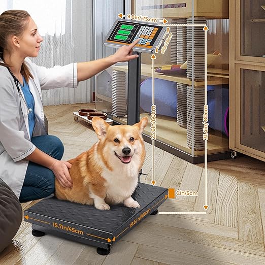 Bonvoisin Digital Platform Scale 660LBs Heavy Duty Floor Scale KG/LB Switchable - Image 6