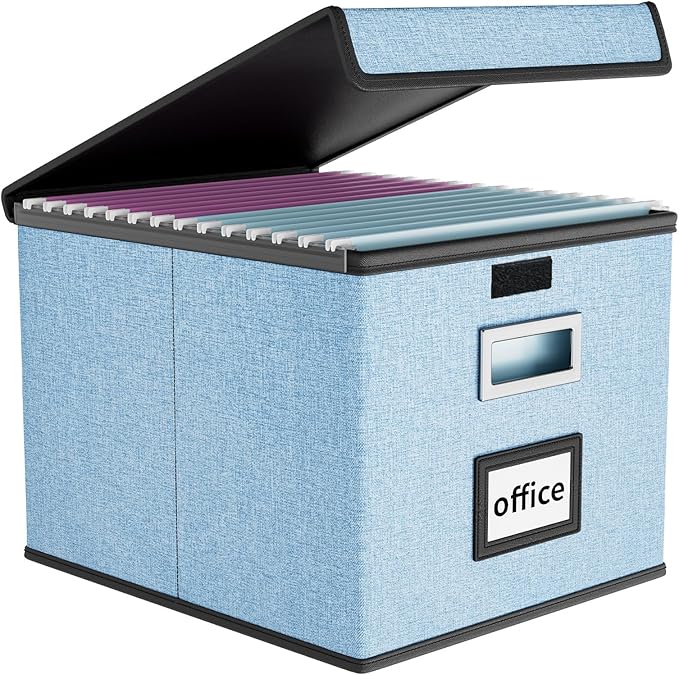 Huolewa File Organizer Box by Huolewa