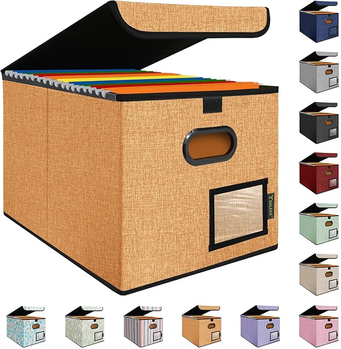 BALEINE File Organizer Box by BALEINE