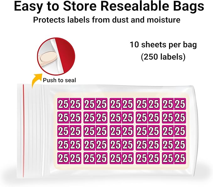 MINI 2025 Year Labels, Doctor Stuff 2025 Chart Stickers, Fuchsia Color Coded - Image 4
