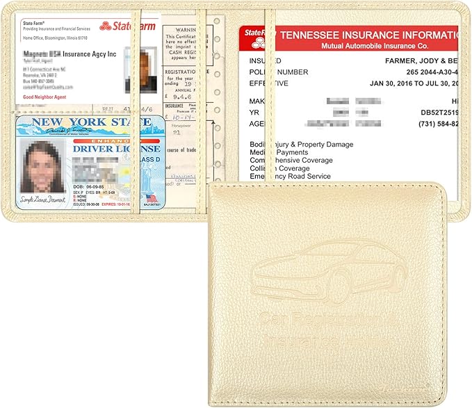 Car Insurance and Registration Holder, 5.5 x 5 Inch PU Leather Vehicle Glove by Techion