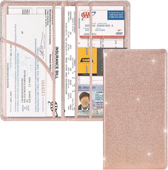 Cacturism Car Registration and Insurance Holder, Car Accessories Vehicle Glove by CACTURISM