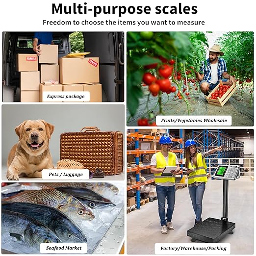 Digital Industrial Platform Scale - Image 7