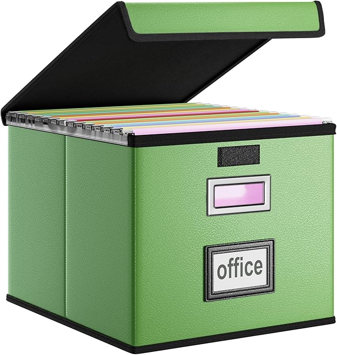 Huolewa File Organizer Box by Huolewa