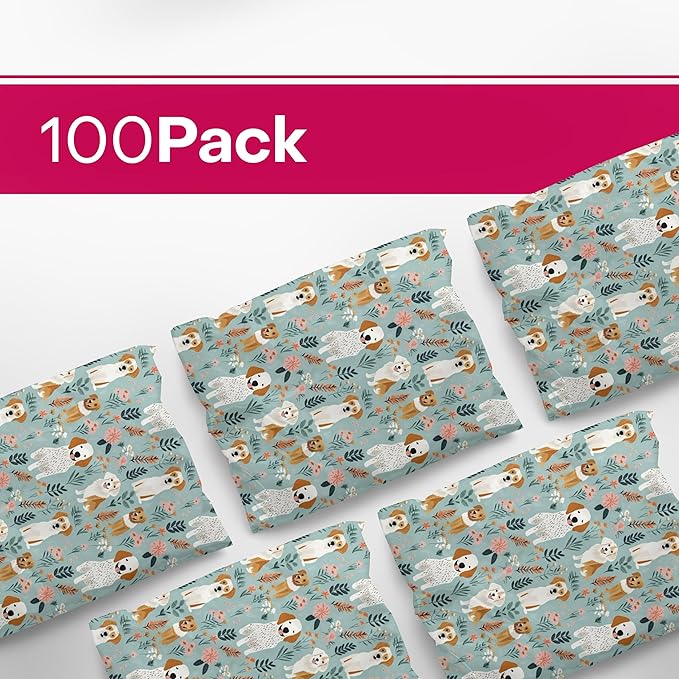 Package Mint Poly Mailers Cute Shipping Bags - Image 3