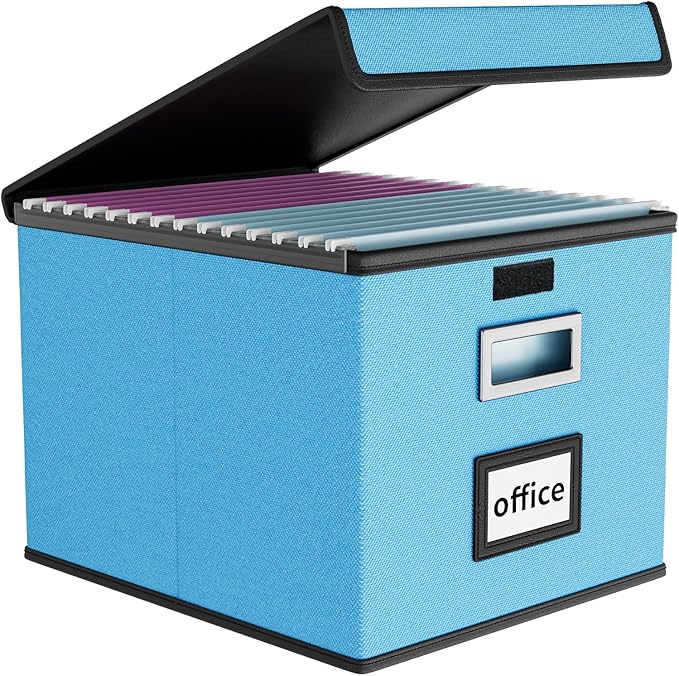 Huolewa File Organizer Box by Huolewa