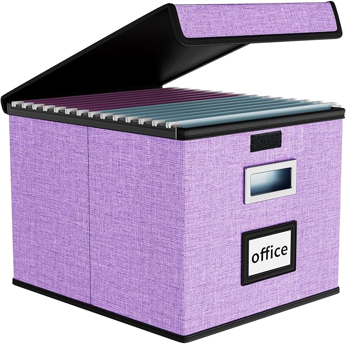 Huolewa File Organizer Box by Huolewa
