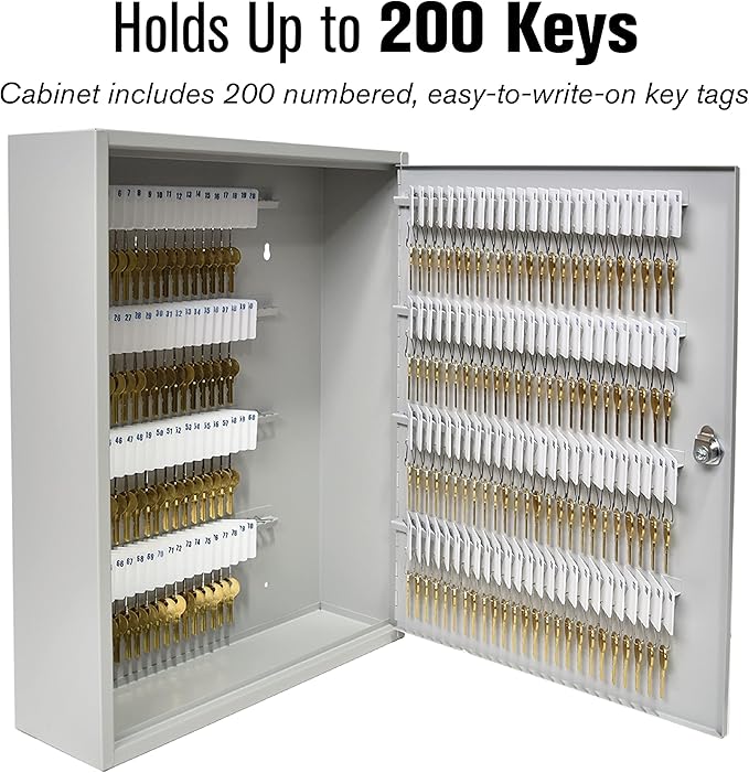 BankSupplies STEELMASTER 200-Key Cabinet | Piano Hinged Door | Steel - Image 3