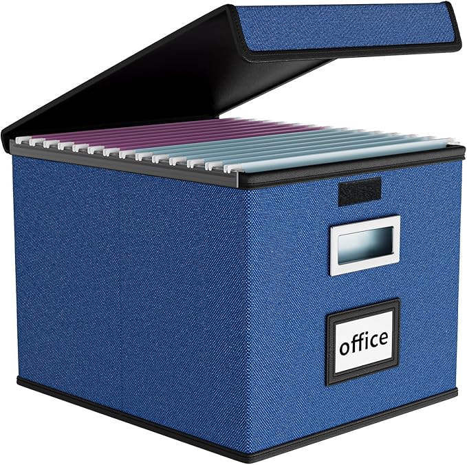 Huolewa File Organizer Box by Huolewa