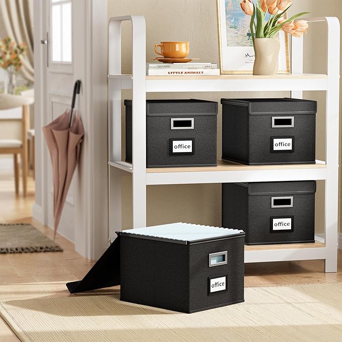 Huolewa File Organizer Boxes - Image 2