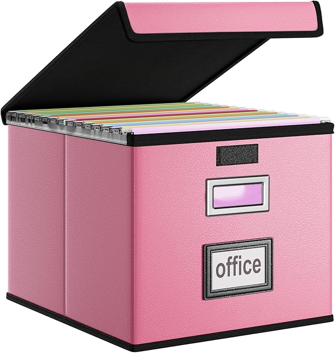 Huolewa File Organizer Box by Huolewa