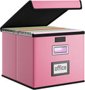 Huolewa File Organizer Box by Huolewa