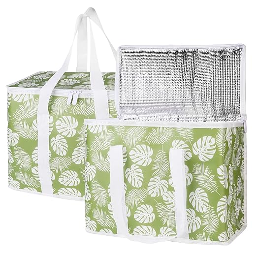 Bodaon 2-Pack Insulated Reusable Grocery Shopping Bags, X-Large Picnic Cooler by Bodaon