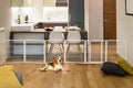 FXW Dog Gate Extra Wide Designed by FXW