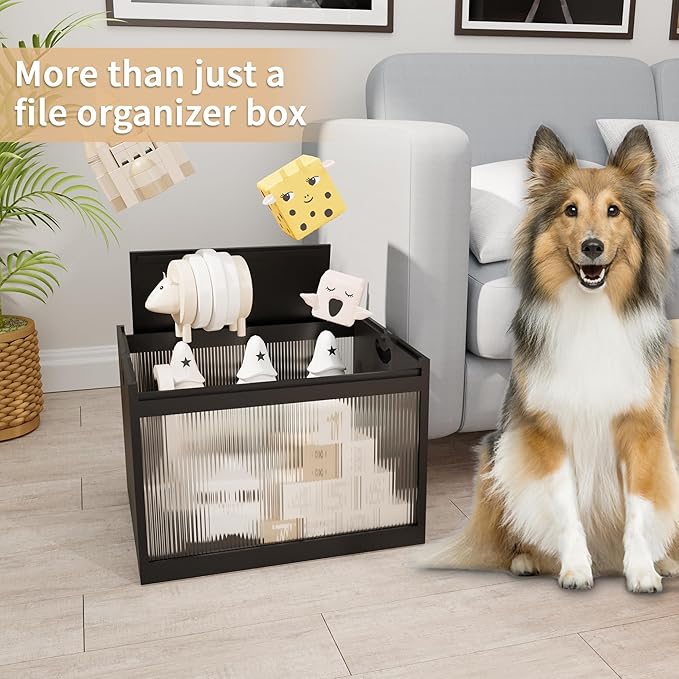 Black Bamboo & Acrylic File Box - Image 6
