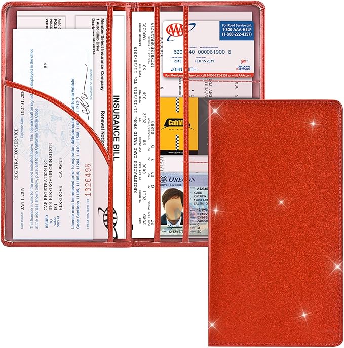 Cacturism Car Registration and Insurance Holder, Vehicle Glove Box Car by CACTURISM