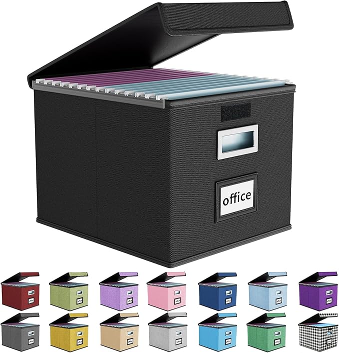 Huolewa File Organizer Box by Huolewa
