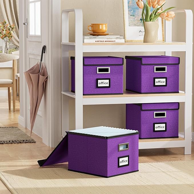 Huolewa Upgraded File Organizer Boxes - Image 2