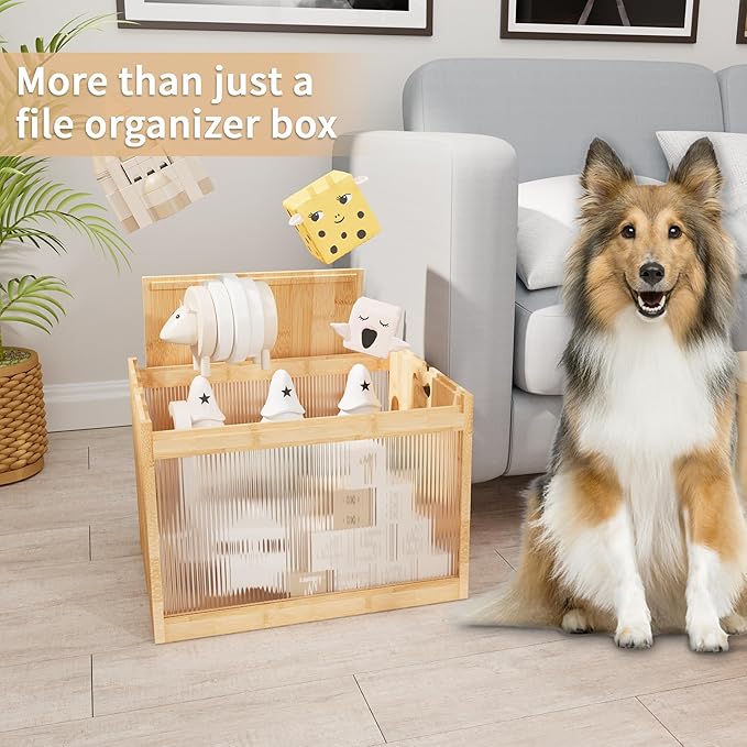 Natural Bamboo & Acrylic File Box - Image 6