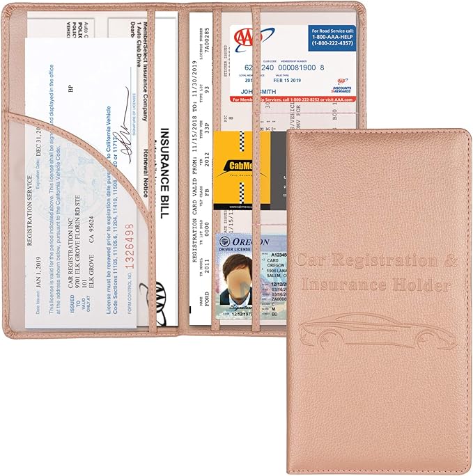 Cacturism Car Registration and Insurance Holder, Vehicle Glove Box Car by CACTURISM