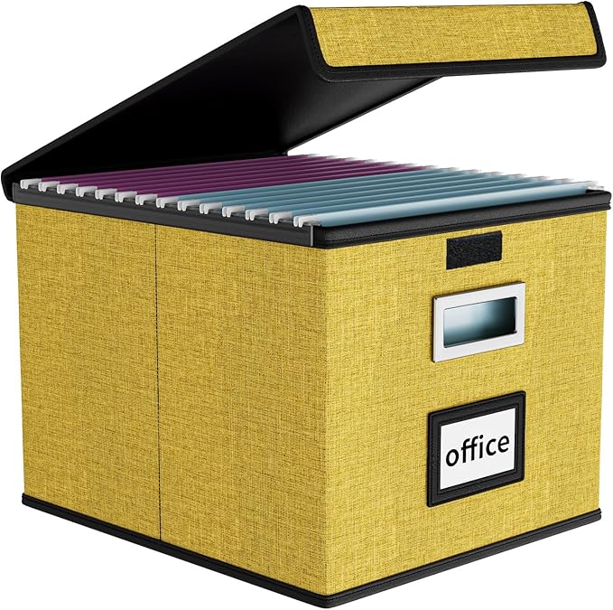 Huolewa File Organizer Box by Huolewa
