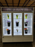 Commercial Beverage Refrigerator Display Fridge, Three Glass Door Upright by NAFCOOL