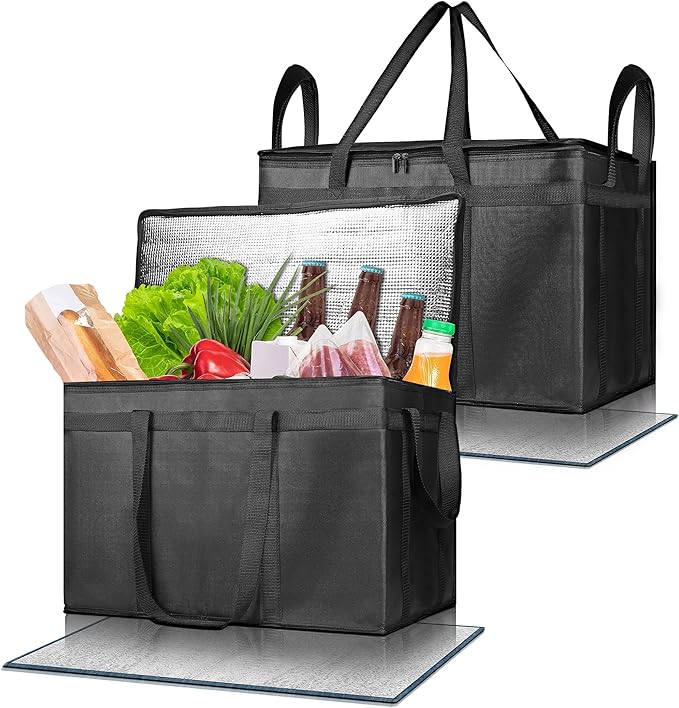 Pack of 2 Insulated Food Delivery Bag by MicanloOfficial