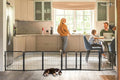 FXW Dog Gate Extra Wide Designed by FXW