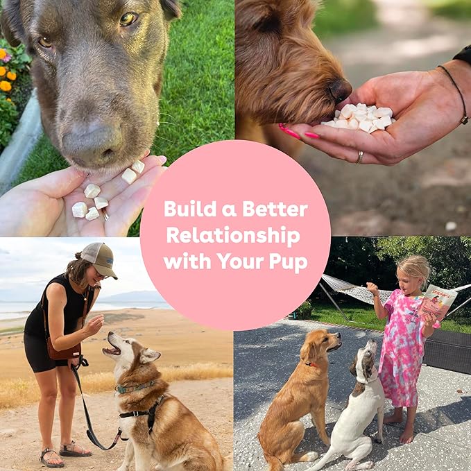 Pupford Freeze Dried Training Treats - Image 6